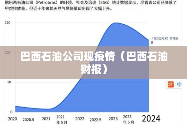 巴西石油公司现疫情(巴西石油财报) 巴西石油公司现疫情(巴西石油财报)
