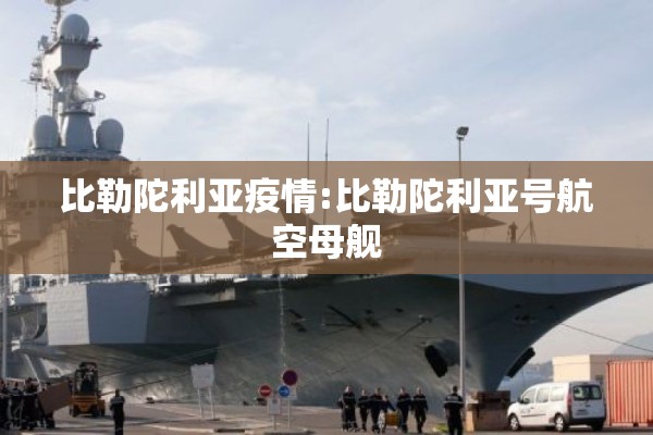 比勒陀利亚疫情:比勒陀利亚号航空母舰