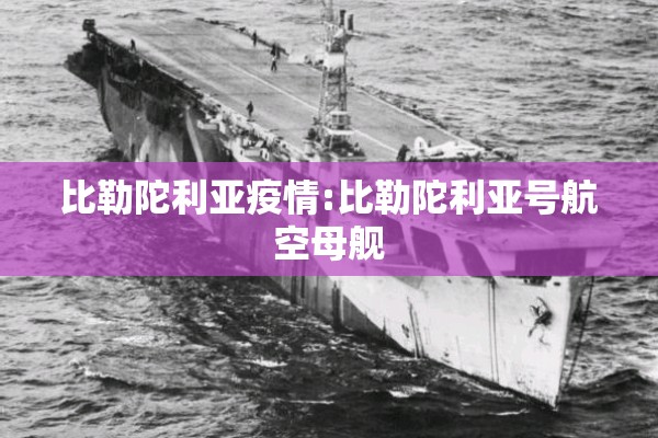比勒陀利亚疫情:比勒陀利亚号航空母舰