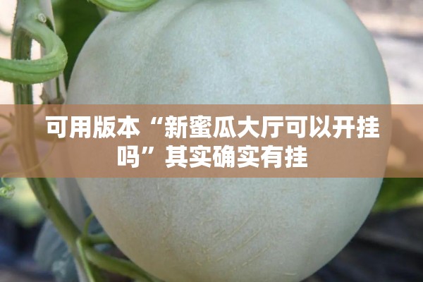 可用版本“新蜜瓜大厅可以开挂吗”其实确实有挂