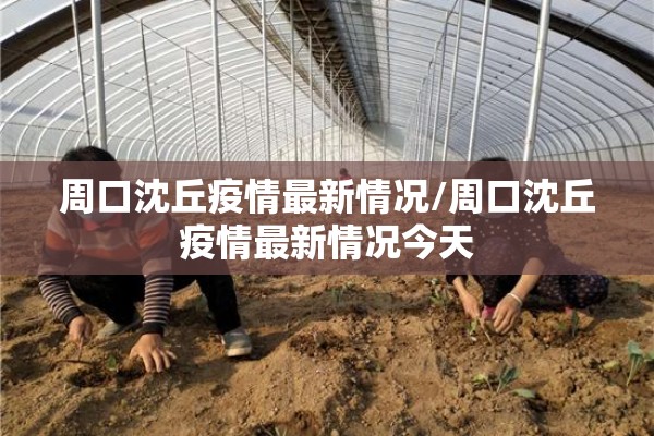周口沈丘疫情最新情况/周口沈丘疫情最新情况今天