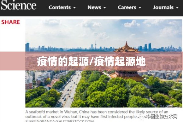 疫情的起源/疫情起源地