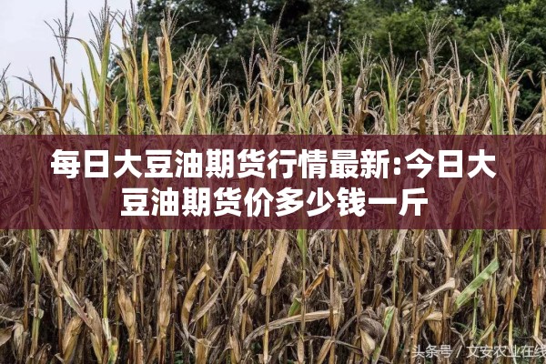 每日大豆油期货行情最新:今日大豆油期货价多少钱一斤