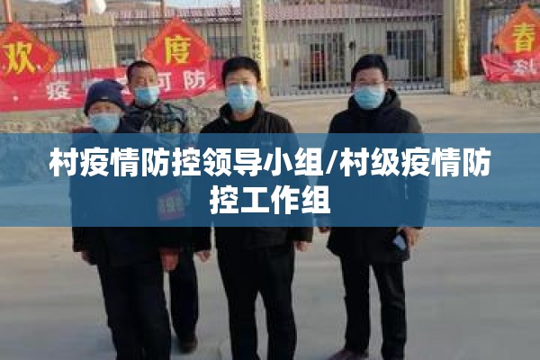 村疫情防控领导小组/村级疫情防控工作组