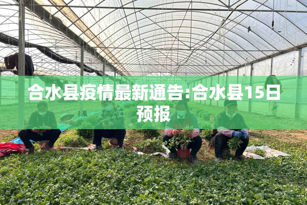 合水县疫情最新通告:合水县15日预报 合水县疫情最新通告:合水县15日预报