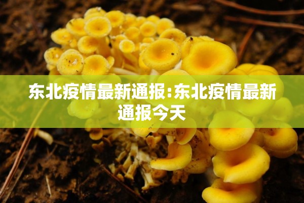 东北疫情最新通报:东北疫情最新通报今天