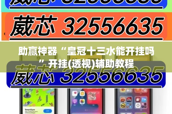 助赢神器“皇冠十三水能开挂吗”开挂(透视)辅助教程