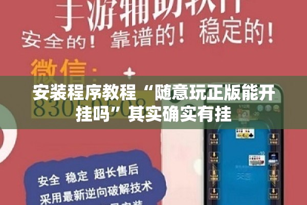 安装程序教程“随意玩正版能开挂吗”其实确实有挂