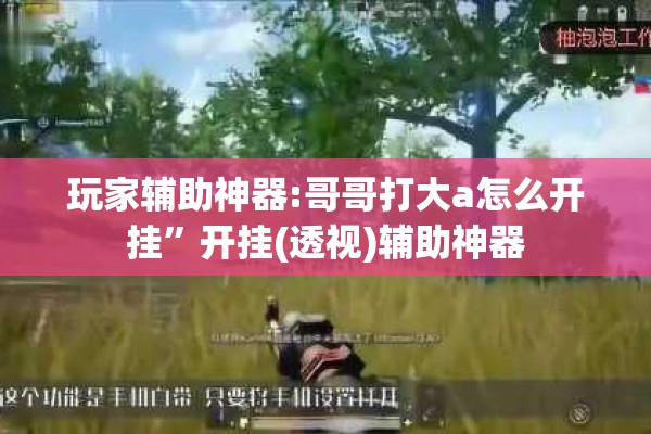玩家辅助神器:哥哥打大a怎么开挂”开挂(透视)辅助神器