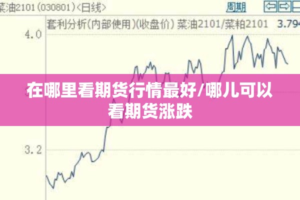 在哪里看期货行情最好/哪儿可以看期货涨跌