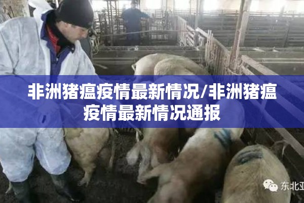 非洲猪瘟疫情最新情况/非洲猪瘟疫情最新情况通报