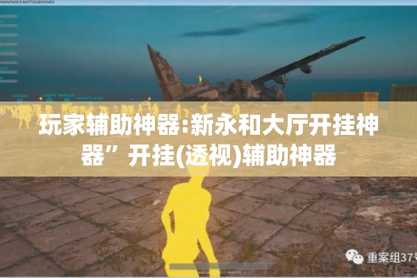 玩家辅助神器:新永和大厅开挂神器”开挂(透视)辅助神器