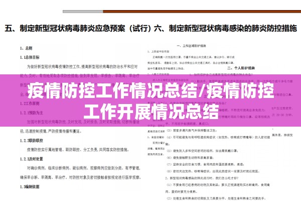 疫情防控工作情况总结/疫情防控工作开展情况总结 疫情防控工作情况总结/疫情防控工作开展情况总结