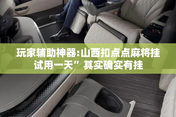 玩家辅助神器:山西扣点点麻将挂试用一天”其实确实有挂
