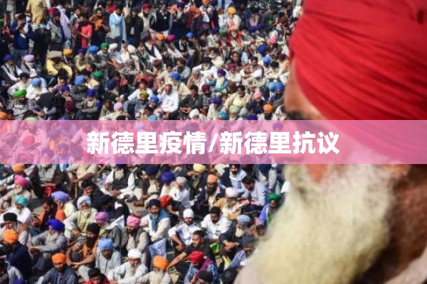 新德里疫情/新德里抗议