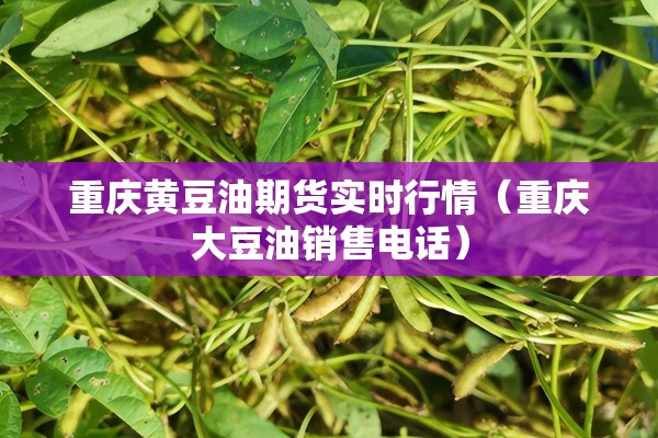 重庆黄豆油期货实时行情（重庆大豆油销售电话）