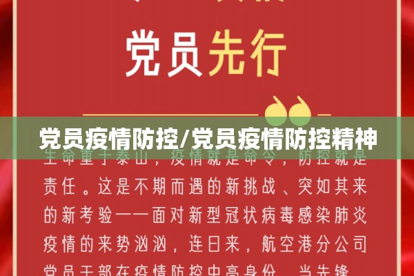 党员疫情防控/党员疫情防控精神