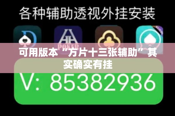 可用版本“方片十三张辅助”其实确实有挂