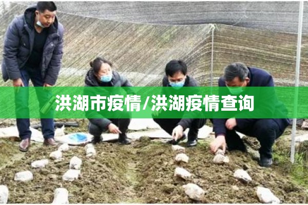 洪湖市疫情/洪湖疫情查询