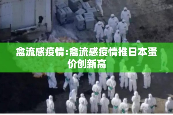 禽流感疫情:禽流感疫情推日本蛋价创新高