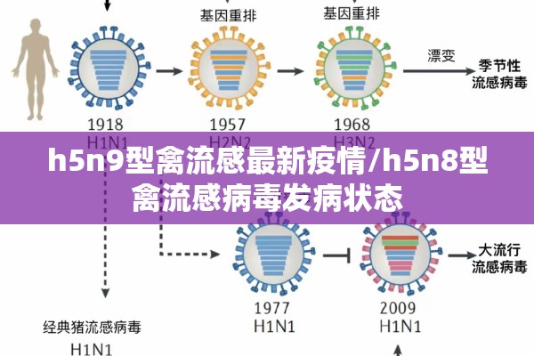 h5n9型禽流感最新疫情/h5n8型禽流感病毒发病状态 h5n9型禽流感最新疫情/h5n8型禽流感病毒发病状态