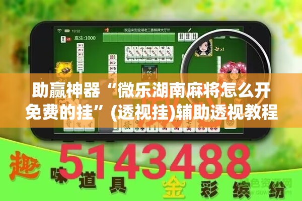 助赢神器“微乐湖南麻将怎么开免费的挂	”(透视挂)辅助透视教程
