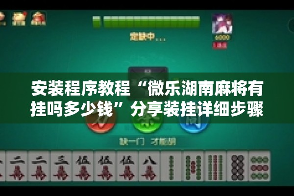 安装程序教程“微乐湖南麻将有挂吗多少钱”分享装挂详细步骤