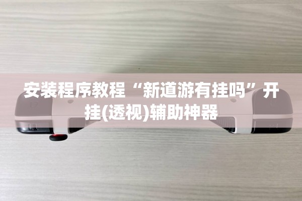安装程序教程“新道游有挂吗”开挂(透视)辅助神器