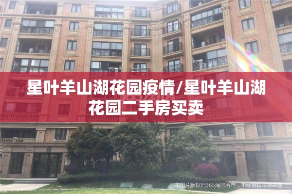星叶羊山湖花园疫情/星叶羊山湖花园二手房买卖