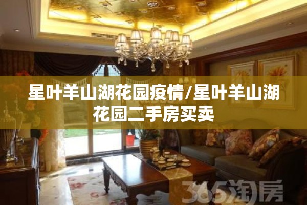 星叶羊山湖花园疫情/星叶羊山湖花园二手房买卖