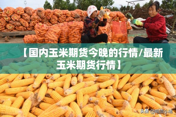 【国内玉米期货今晚的行情/最新玉米期货行情】