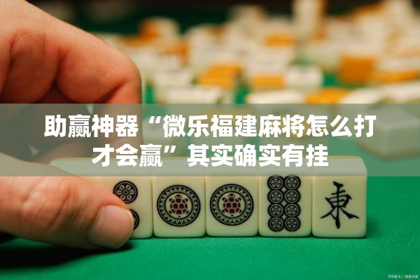助赢神器“微乐福建麻将怎么打才会赢	”其实确实有挂