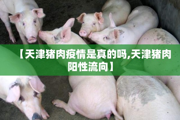 【天津猪肉疫情是真的吗,天津猪肉阳性流向】 【天津猪肉疫情是真的吗,天津猪肉阳性流向】