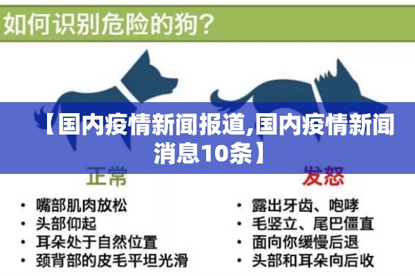 【国内疫情新闻报道,国内疫情新闻消息10条】 【国内疫情新闻报道,国内疫情新闻消息10条】