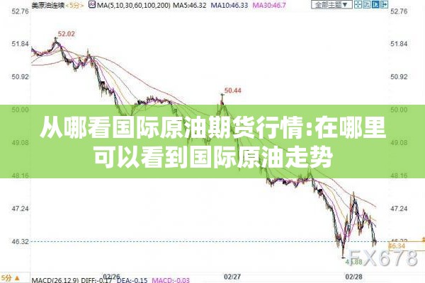 从哪看国际原油期货行情:在哪里可以看到国际原油走势