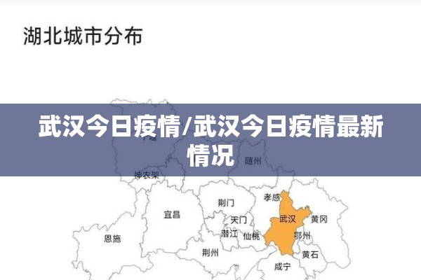 武汉今日疫情/武汉今日疫情最新情况