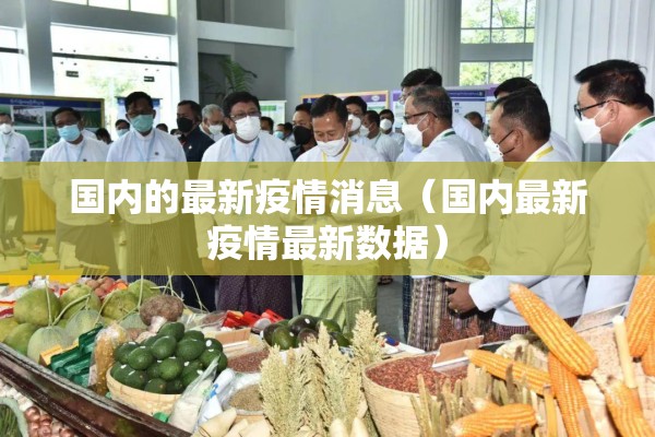 国内的最新疫情消息（国内最新疫情最新数据）