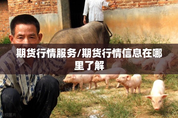 期货行情服务/期货行情信息在哪里了解