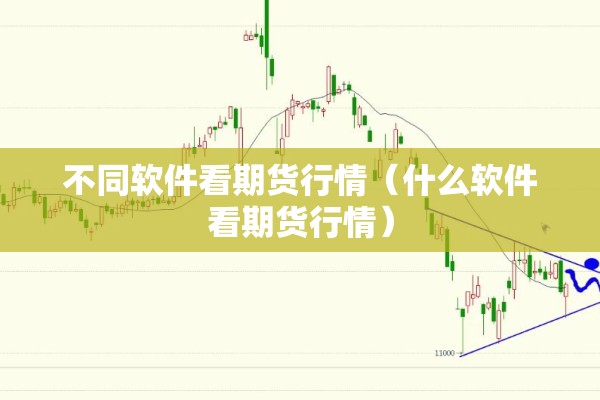 不同软件看期货行情（什么软件看期货行情）