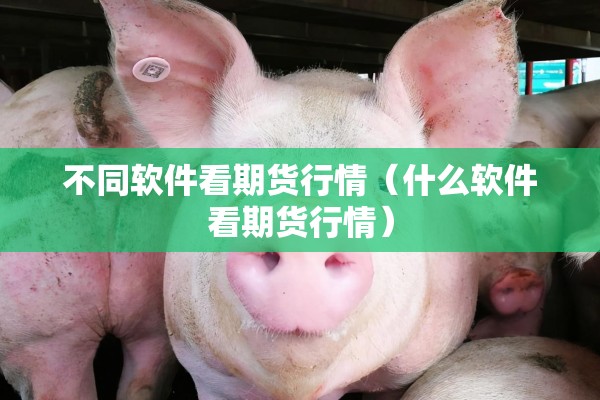 不同软件看期货行情（什么软件看期货行情）