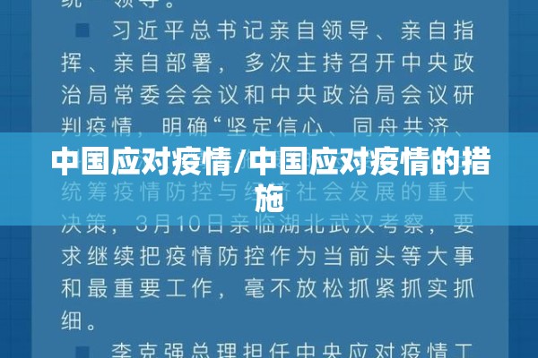 中国应对疫情/中国应对疫情的措施 中国应对疫情/中国应对疫情的措施