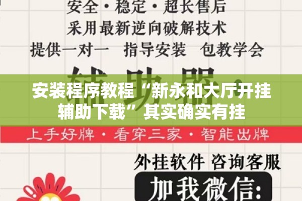 安装程序教程“新永和大厅开挂辅助下载	”其实确实有挂
