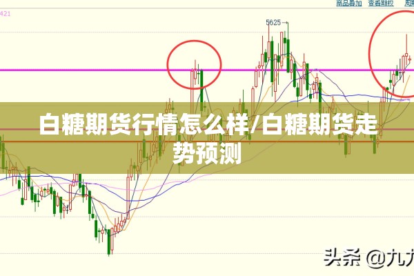 白糖期货行情怎么样/白糖期货走势预测