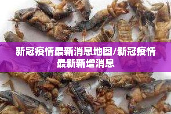 新冠疫情最新消息地图/新冠疫情最新新增消息
