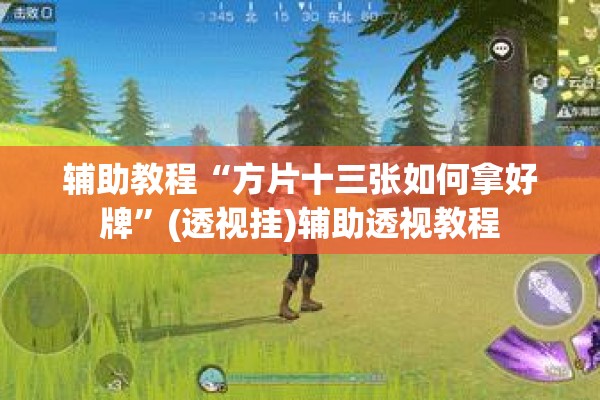 辅助教程“方片十三张如何拿好牌”(透视挂)辅助透视教程