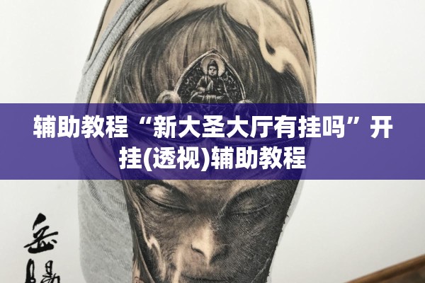 辅助教程“新大圣大厅有挂吗”开挂(透视)辅助教程