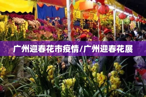 广州迎春花市疫情/广州迎春花展 广州迎春花市疫情/广州迎春花展