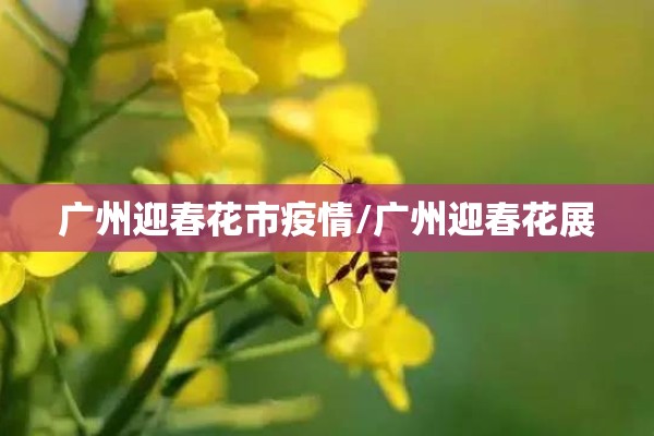 广州迎春花市疫情/广州迎春花展 广州迎春花市疫情/广州迎春花展