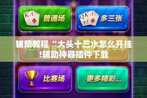 辅助教程“大头十三水怎么开挂!辅助神器插件下载