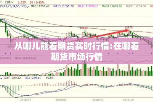 从哪儿能看期货实时行情:在哪看期货市场行情 从哪儿能看期货实时行情:在哪看期货市场行情